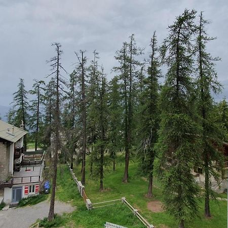 Studio Centre Et Pied Des Pistes Valberg Luaran gambar