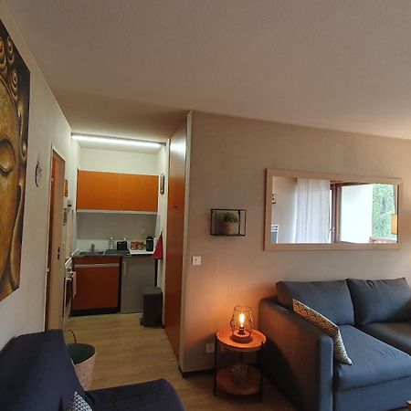 Studio Centre Et Pied Des Pistes Valberg Luaran gambar