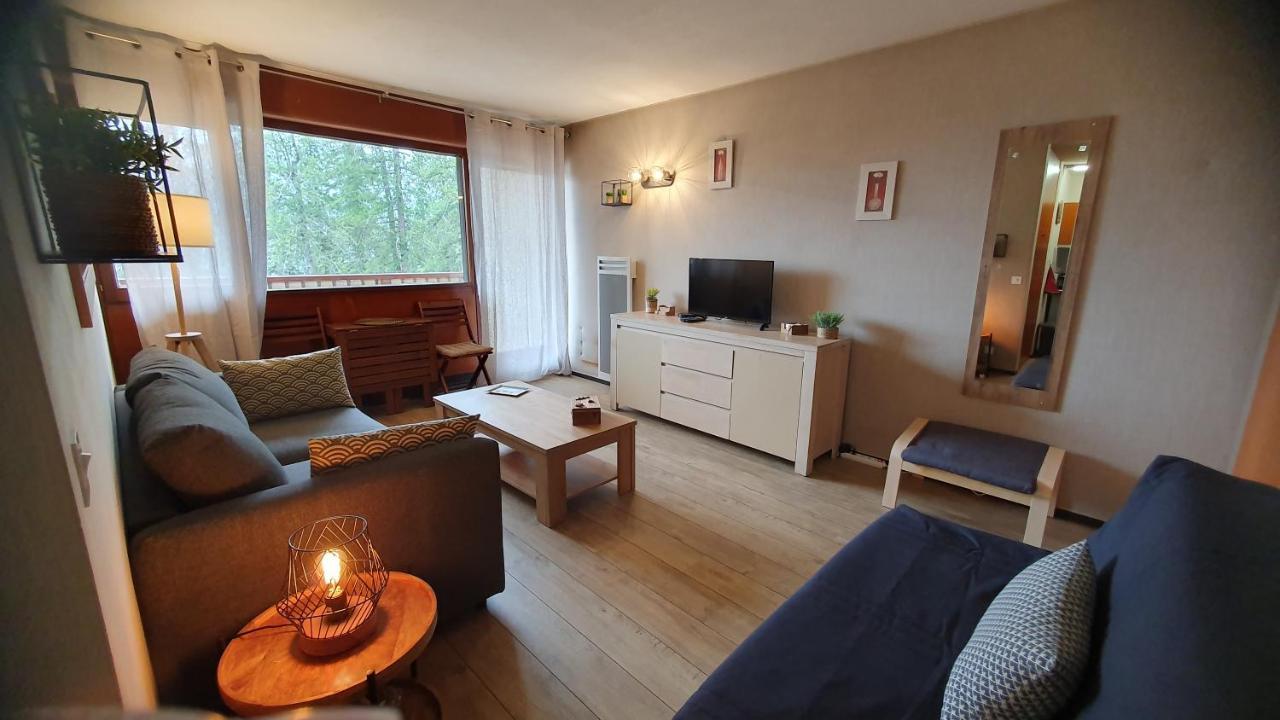 Studio Centre Et Pied Des Pistes Valberg Luaran gambar